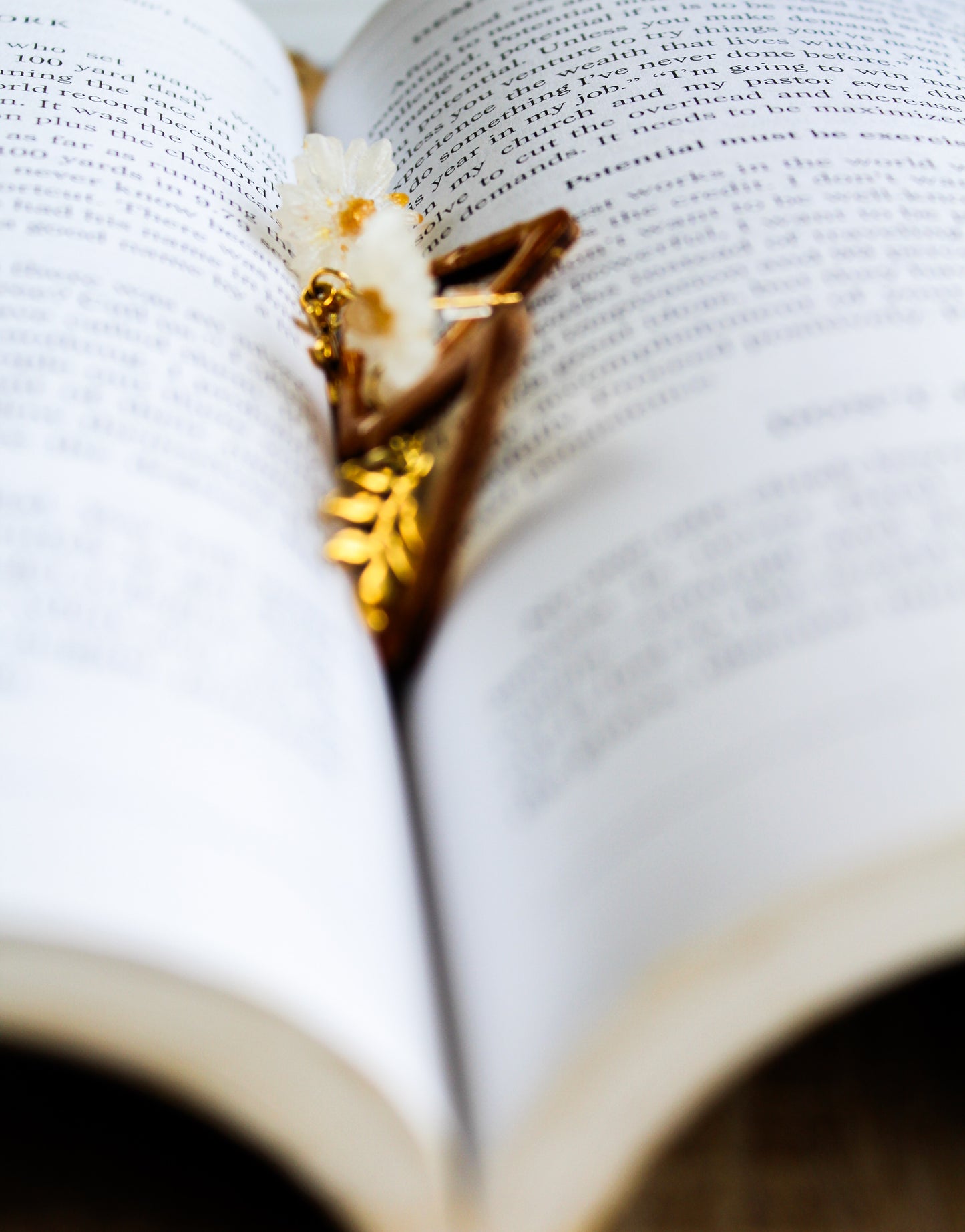 Golden Daisy Elegance Earrings